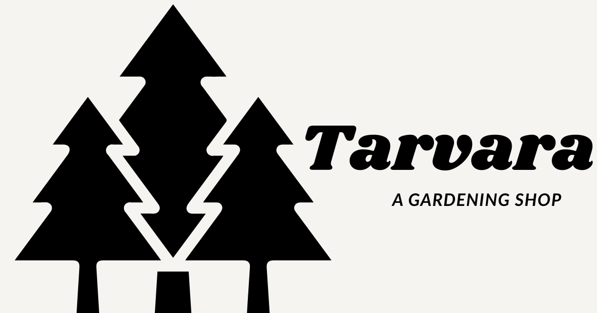Tarvara